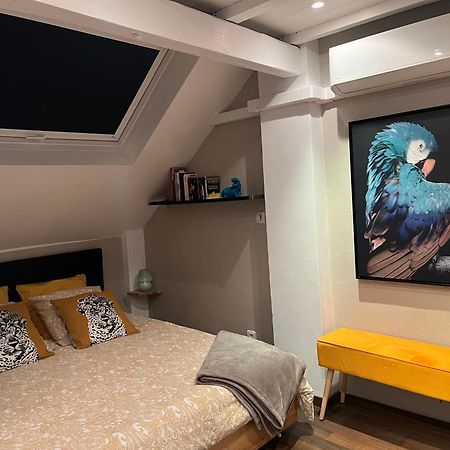 Charmant Duplex Privatise, Climatise, 2 Chambres Στρασβούργο Εξωτερικό φωτογραφία