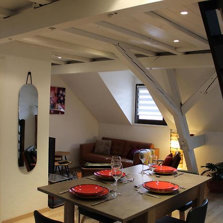 Charmant Duplex Privatise, Climatise, 2 Chambres Στρασβούργο Εξωτερικό φωτογραφία