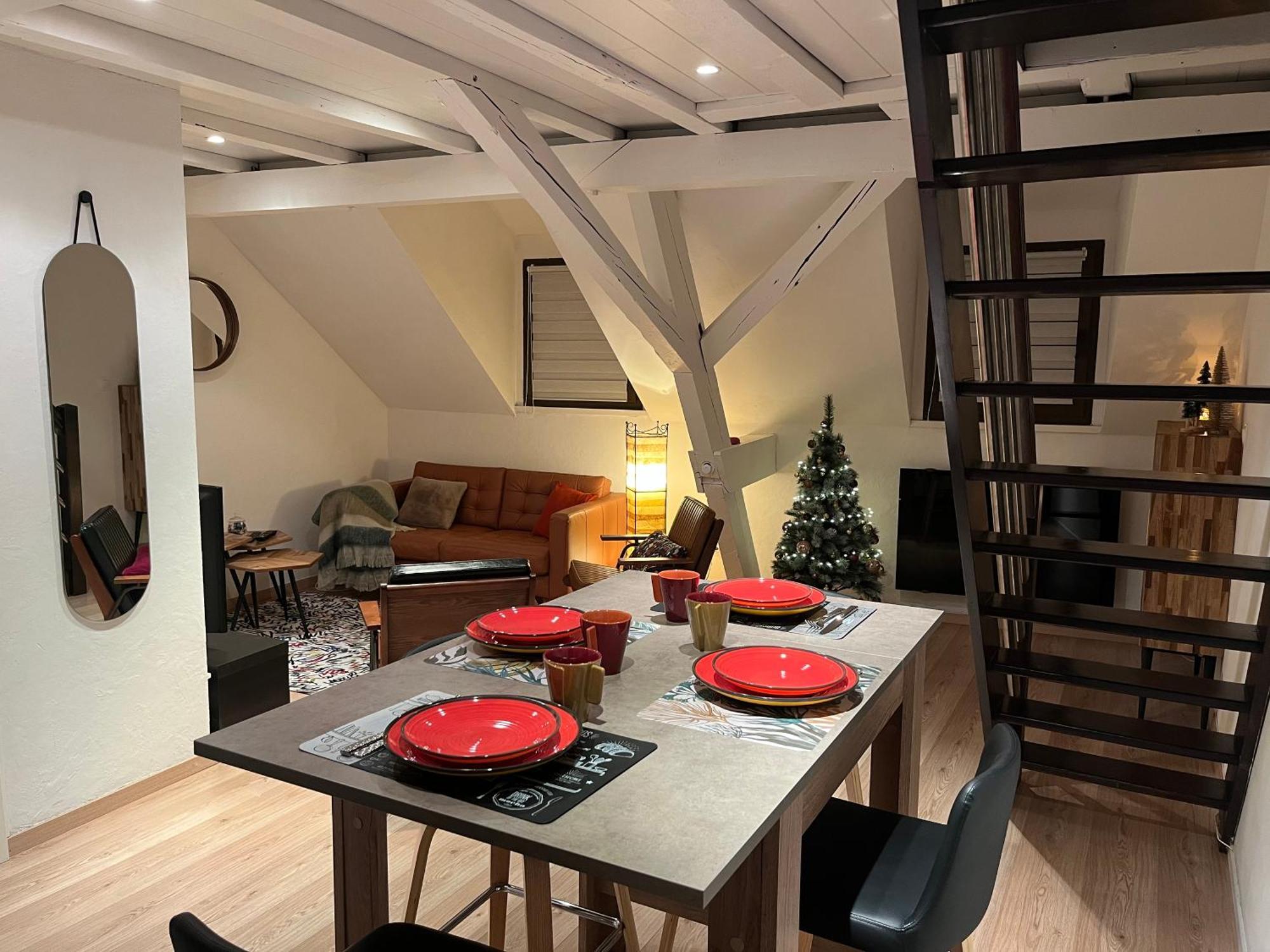 Charmant Duplex Privatise, Climatise, 2 Chambres Στρασβούργο Εξωτερικό φωτογραφία