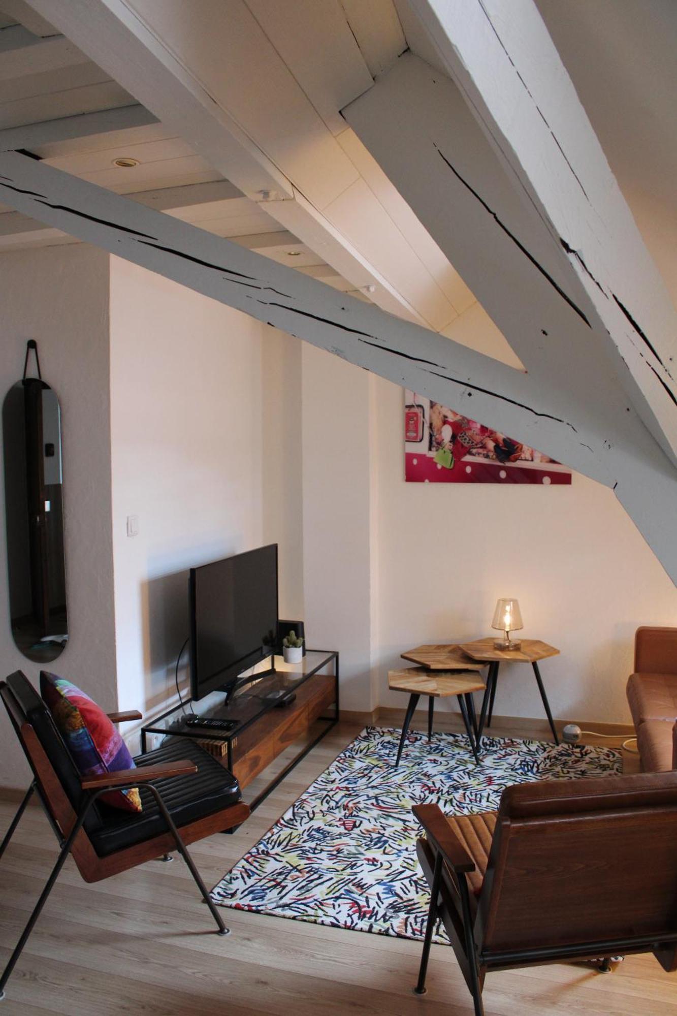Charmant Duplex Privatise, Climatise, 2 Chambres Στρασβούργο Εξωτερικό φωτογραφία