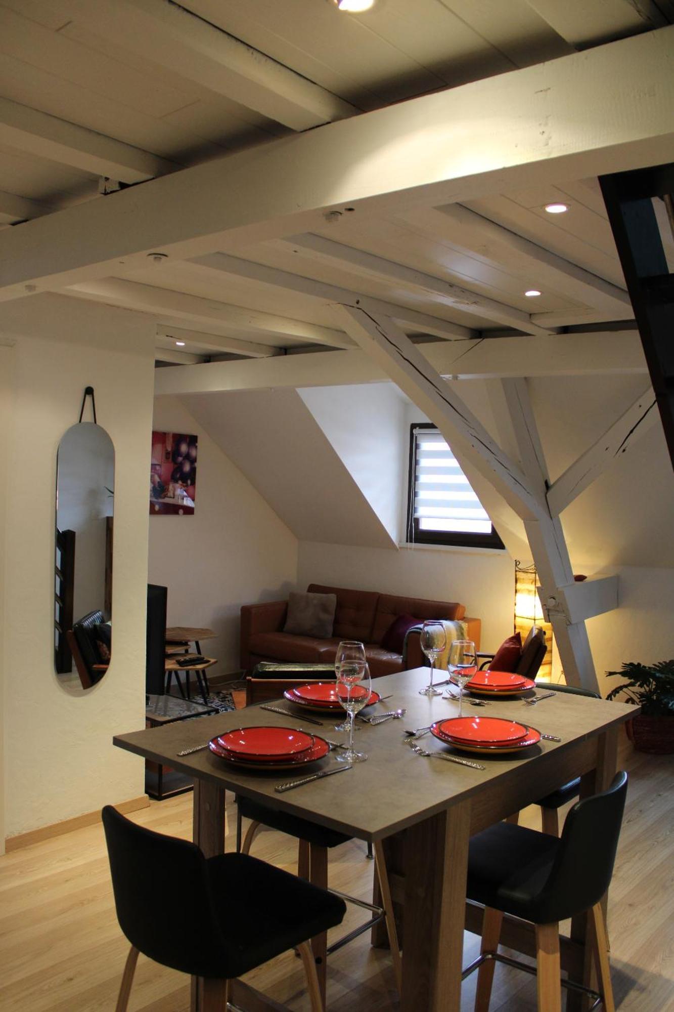 Charmant Duplex Privatise, Climatise, 2 Chambres Στρασβούργο Εξωτερικό φωτογραφία